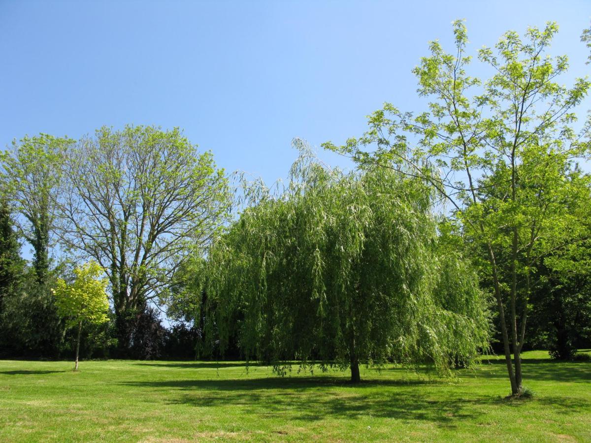 Gite Ligerie Saint-Martin-des-Pezerits Bagian luar foto